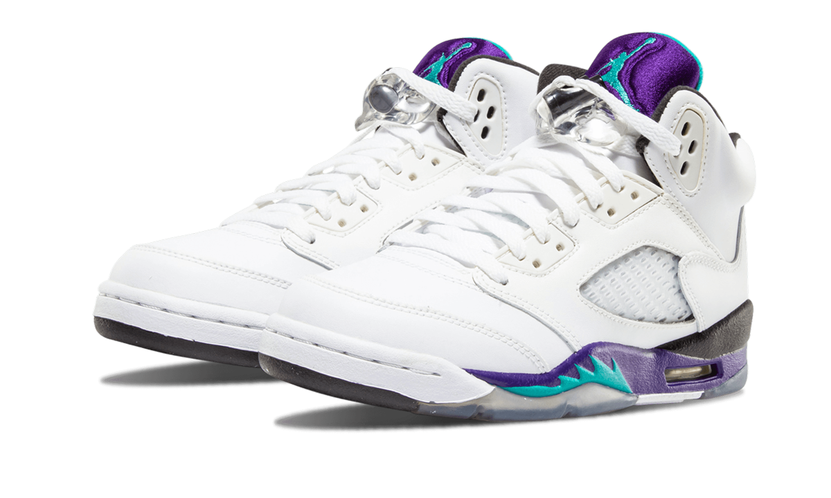 Air Jordan 5 Retro GS "Grape" 440888 108