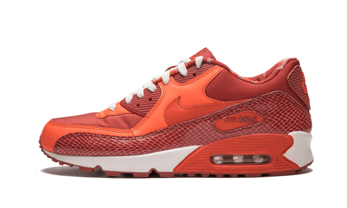 Air Max 90 QK "STEVE NASH" 314864 881