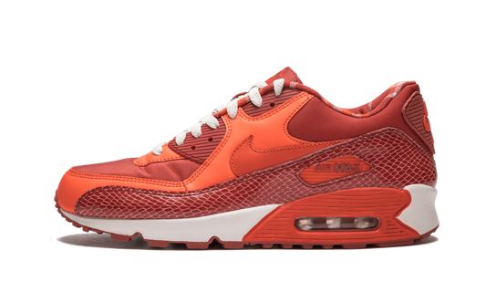 Air Max 90 QK "STEVE NASH" 314864 881