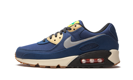 Air Max 90 "City Pack - Tokyo" CW1409 400