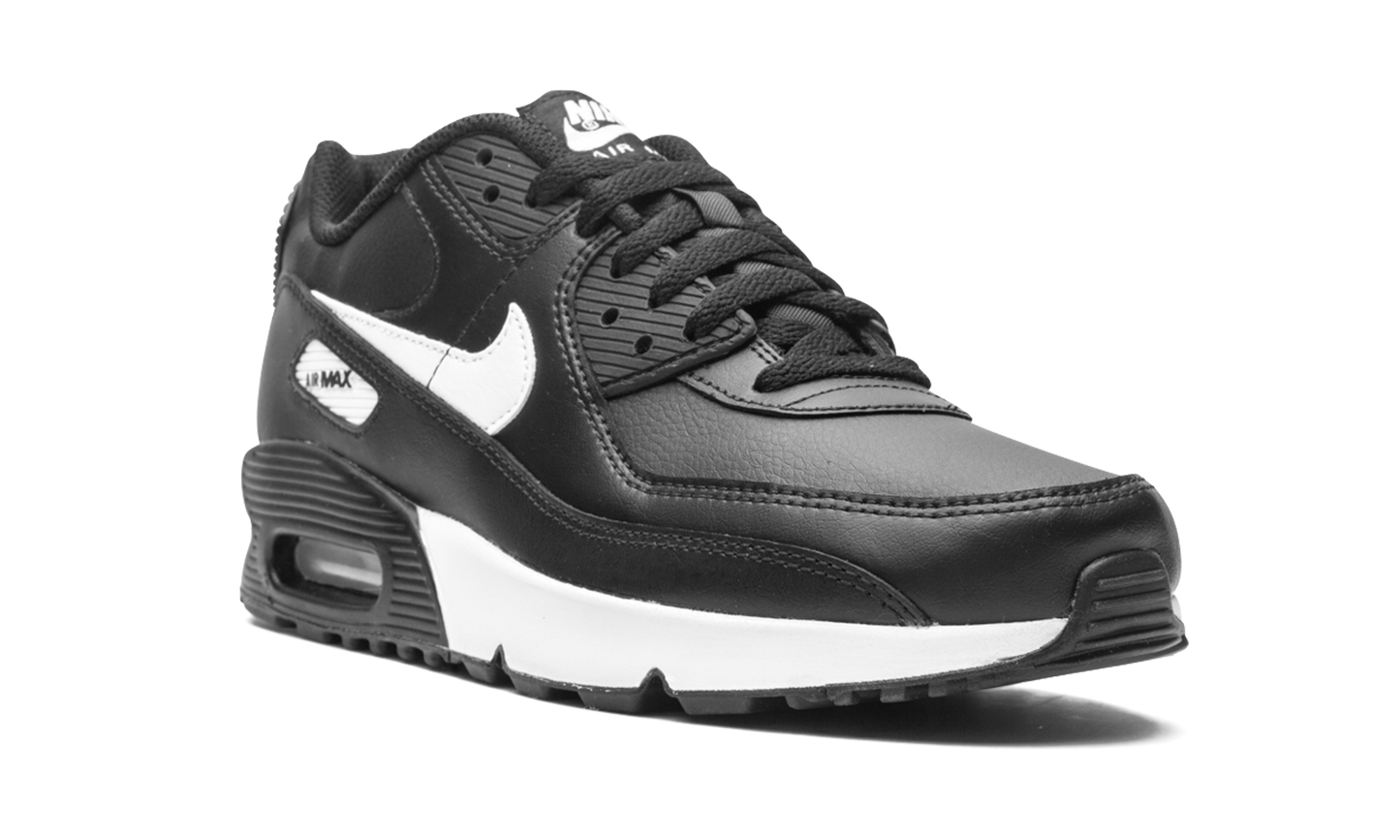Air Max 90 LTR (GS) CD6864 010