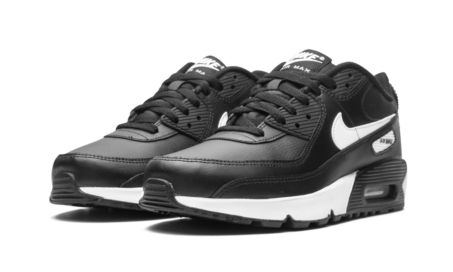 Air Max 90 LTR (GS) CD6864 010