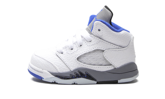 Jordan 5 Retro TD "Stealth 2.0"