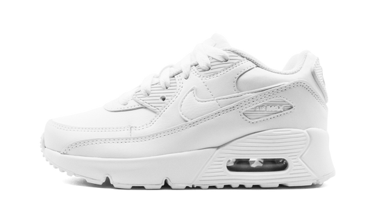 Air Max 90 CD6867 100