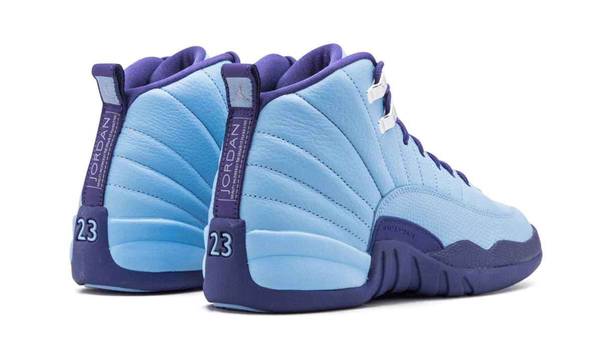 Air Jordan 12 Retro GS "Purple Dust" 510815 418