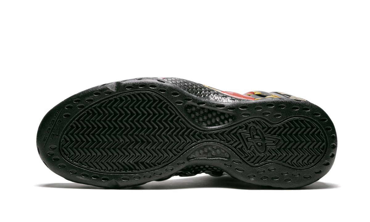 Air Foamposite One "Floral" 314996 012