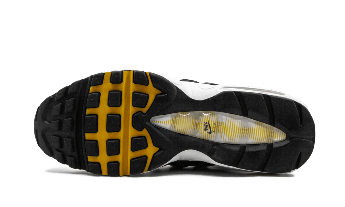 Air Max 95 CD7495 100