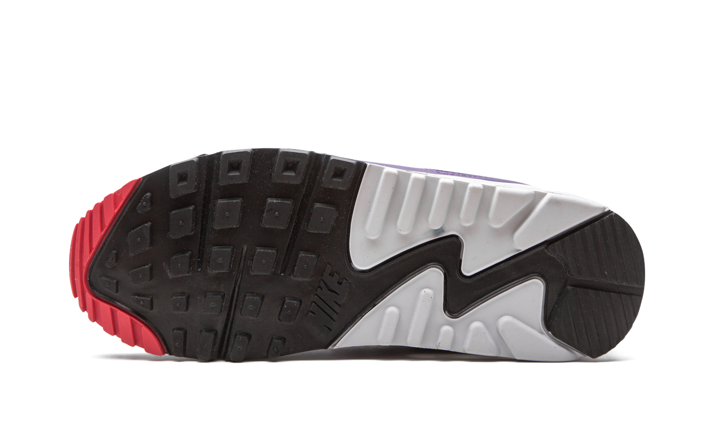 Air Max 90 WMNS "Eggplant" CW1360 100
