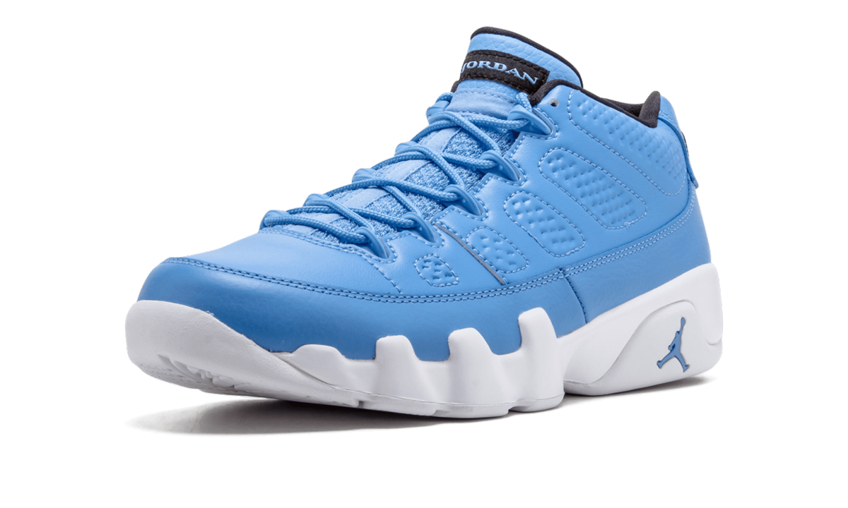 Air Jordan 9 Retro Low "Pantone" 832822 401