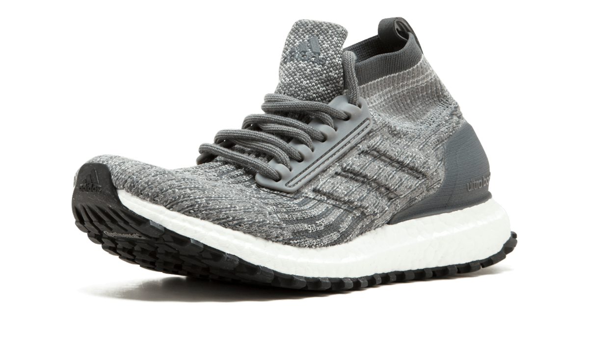 UltraBOOST All Terrain J CG3799