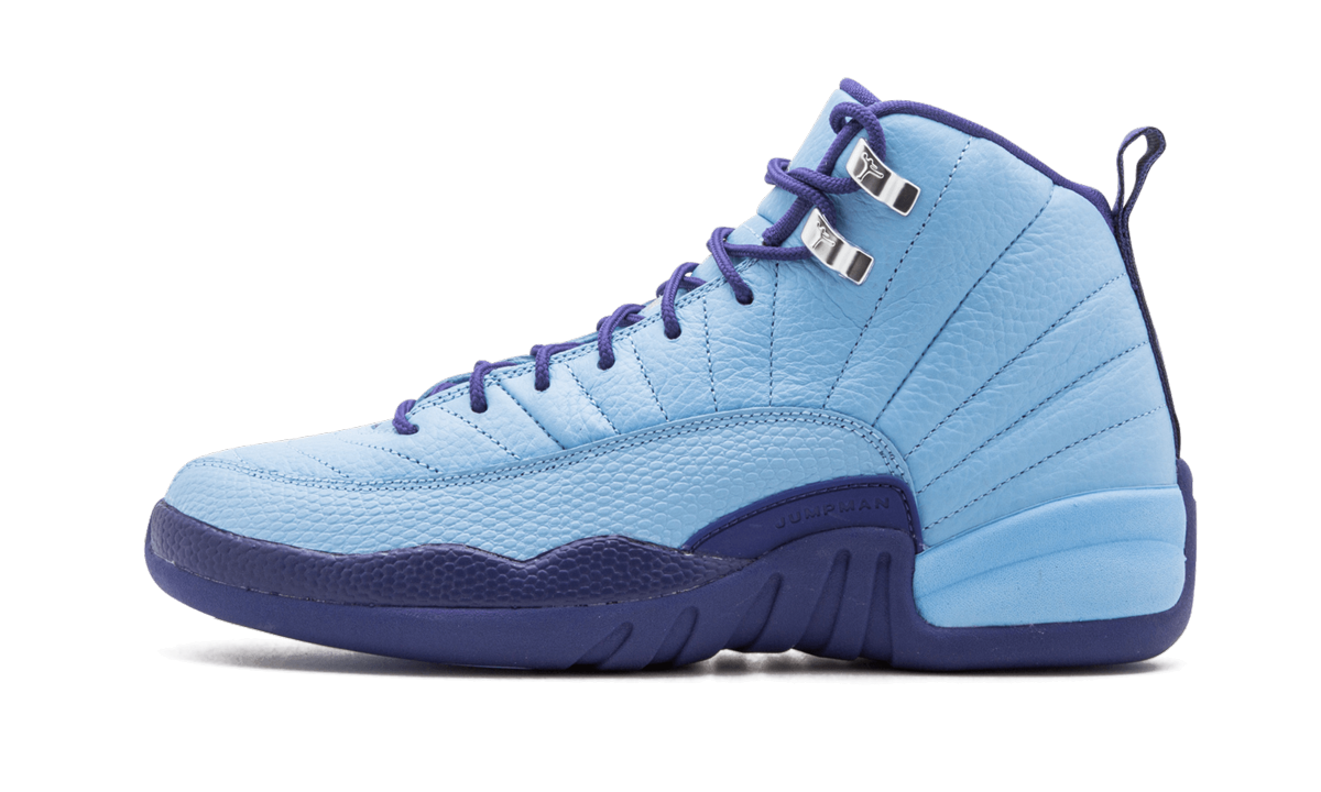Air Jordan 12 Retro GS "Purple Dust" 510815 418