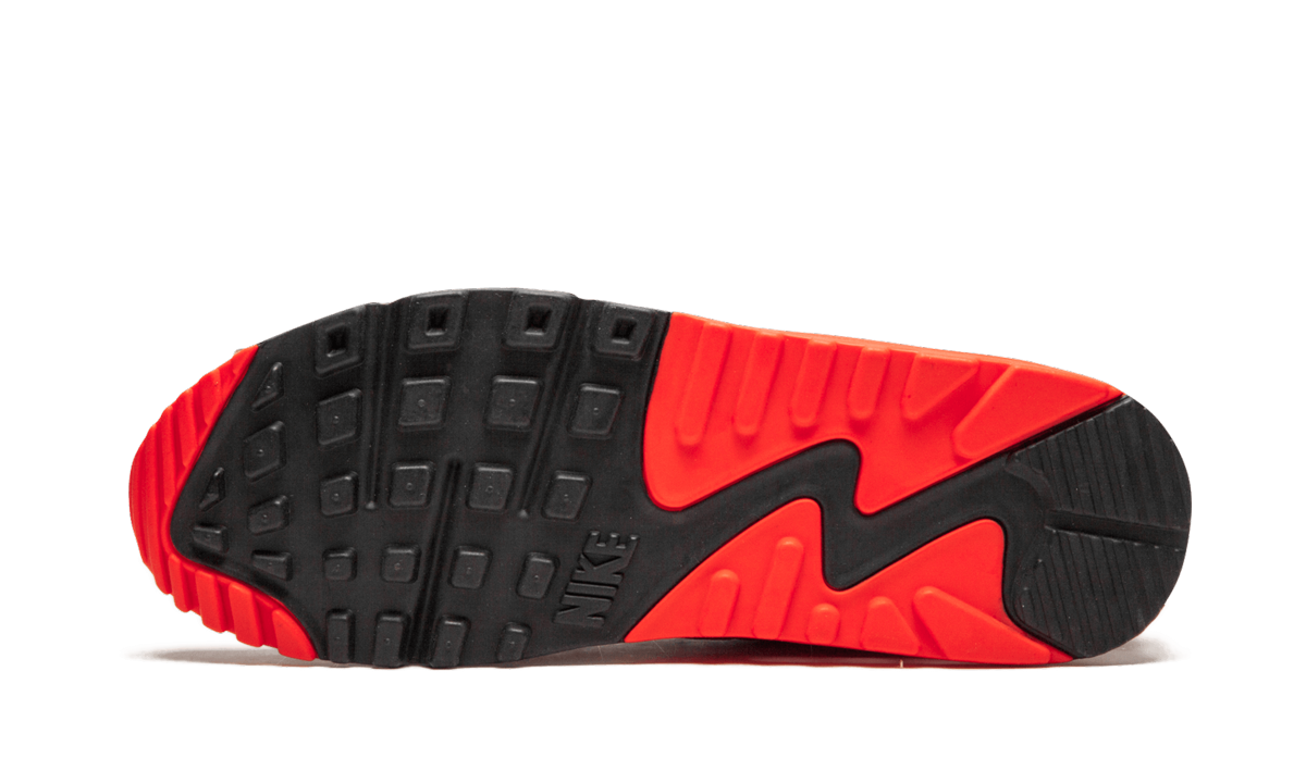 AIR MAX 90 ANNIVERSARY WMNS "Cork" 726485 700