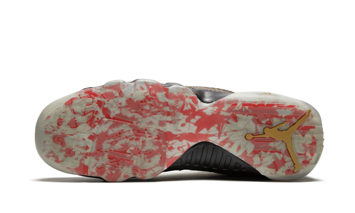 Air Jordan 9 Retro GS "Doernbecher"