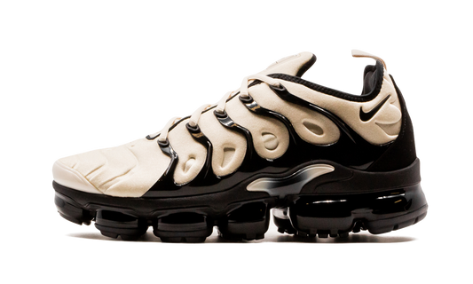 Air VaporMax Plus DH0860 100