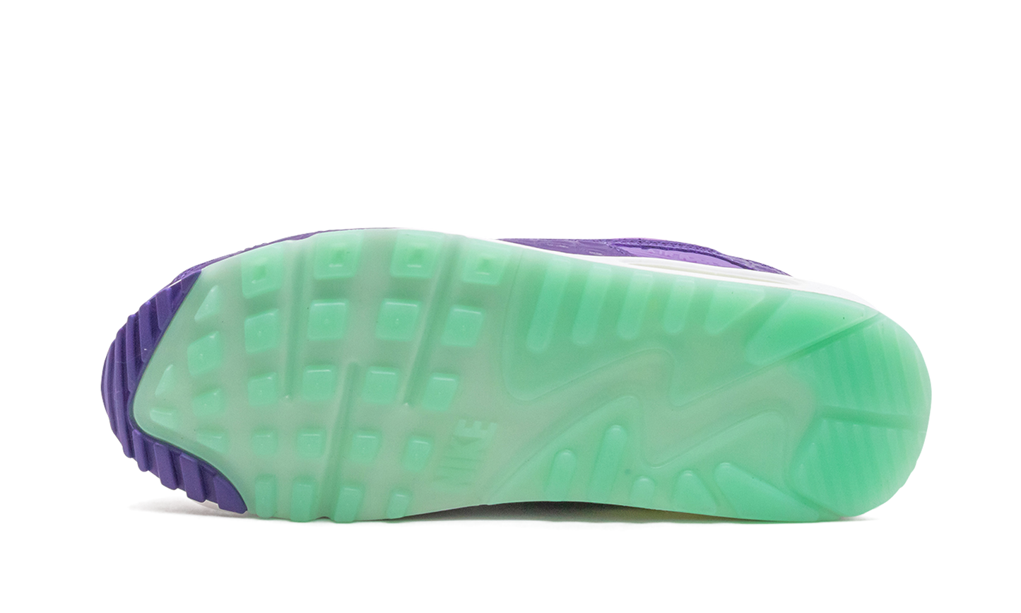 Air Max 90 "Animal Pack - Violet Blend" CZ5588 001