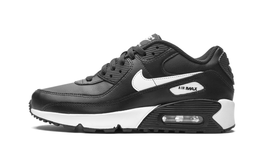 Air Max 90 LTR (GS) CD6864 010