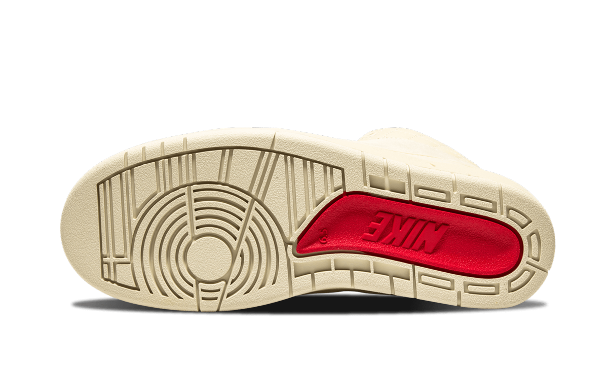 Air Jordan 2 R JS DN GS "Beach" 839604 250