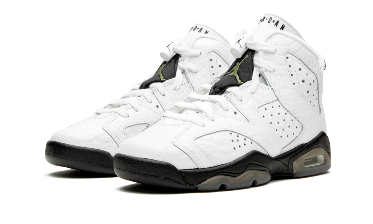 Air Jordan 6 Retro GS "Alligator" 384665 110
