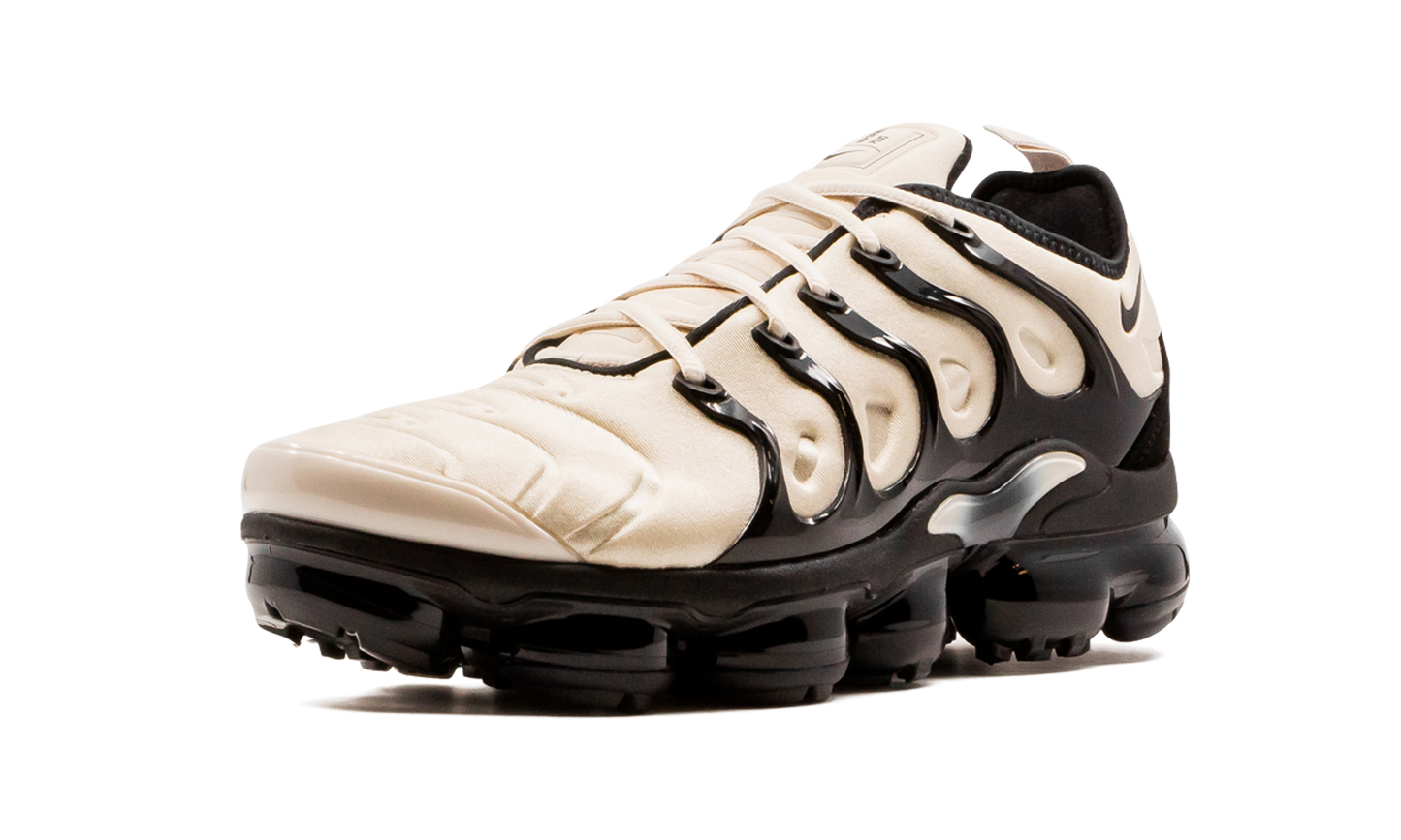 Air VaporMax Plus DH0860 100