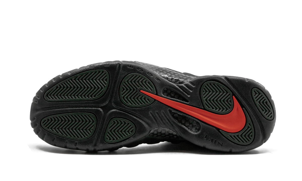 Air Foamposite Pro "Sequoia" 624041 304