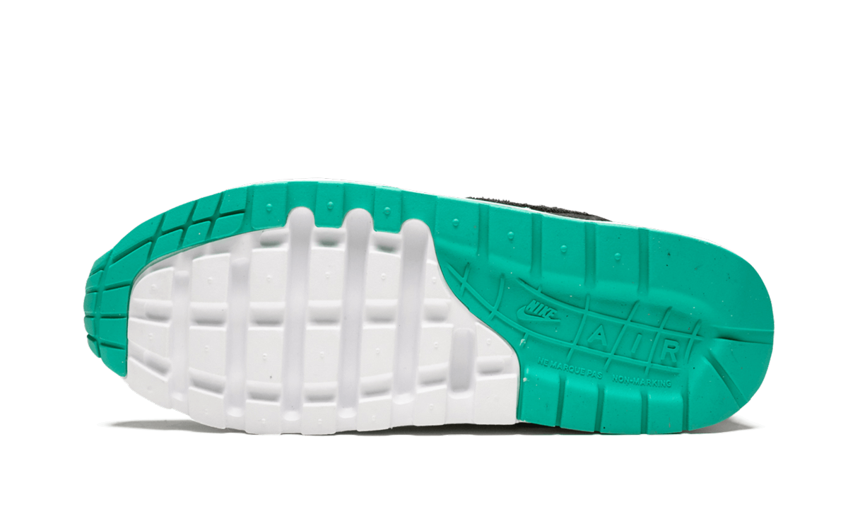 Air Max 1 NK Day (GS) "Have a Nike Day"