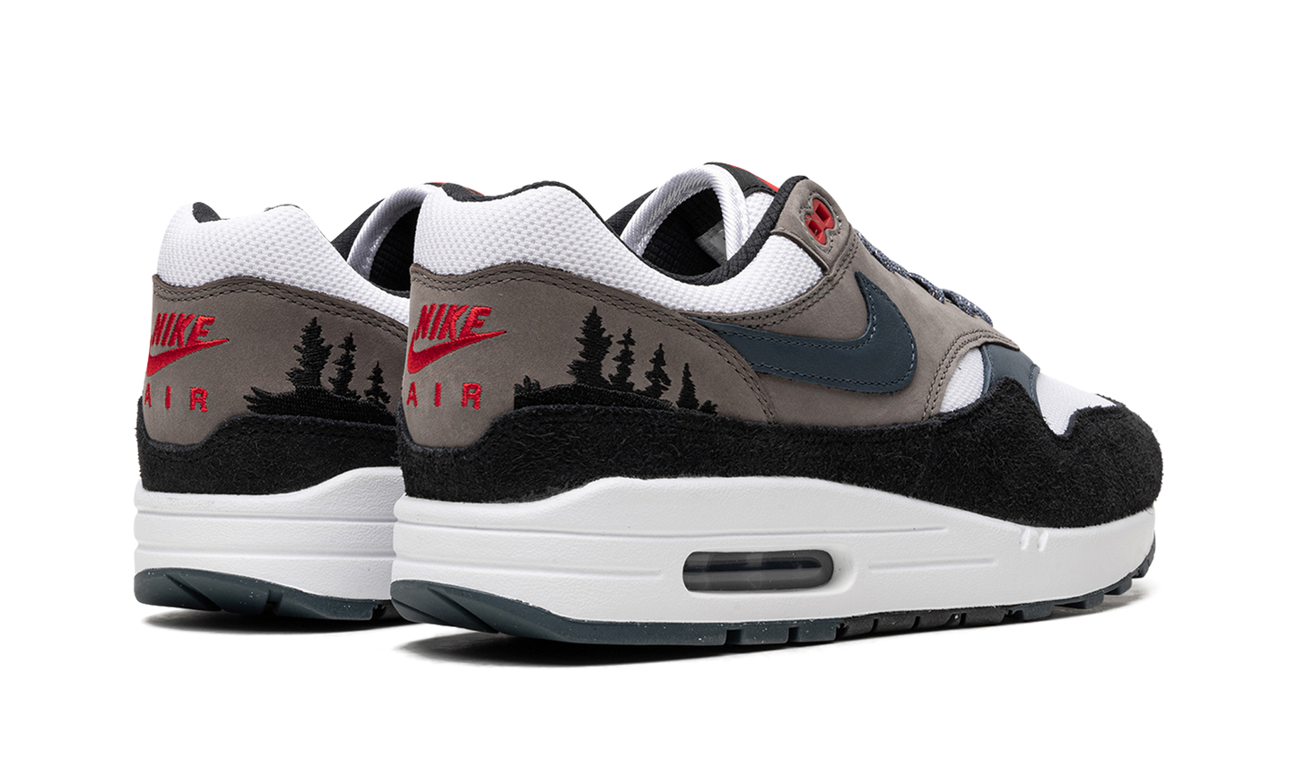 Air Max 1 "Slate Blue" FJ0698 100