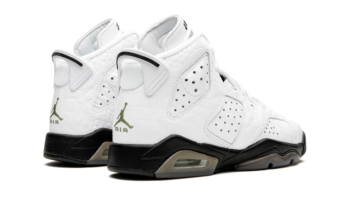 Air Jordan 6 Retro GS "Alligator" 384665 110