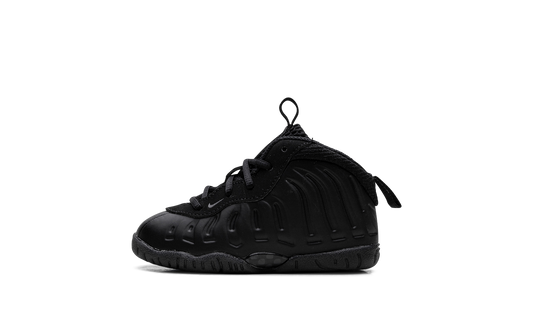 Air Foamposite One TD " "Anthracite" FN7315 001