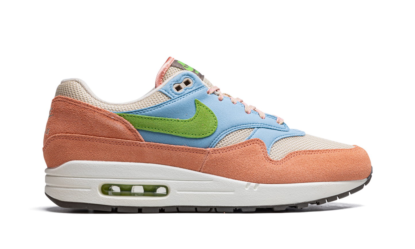 Air Max 1 "Light Madder Root" DV3196 800