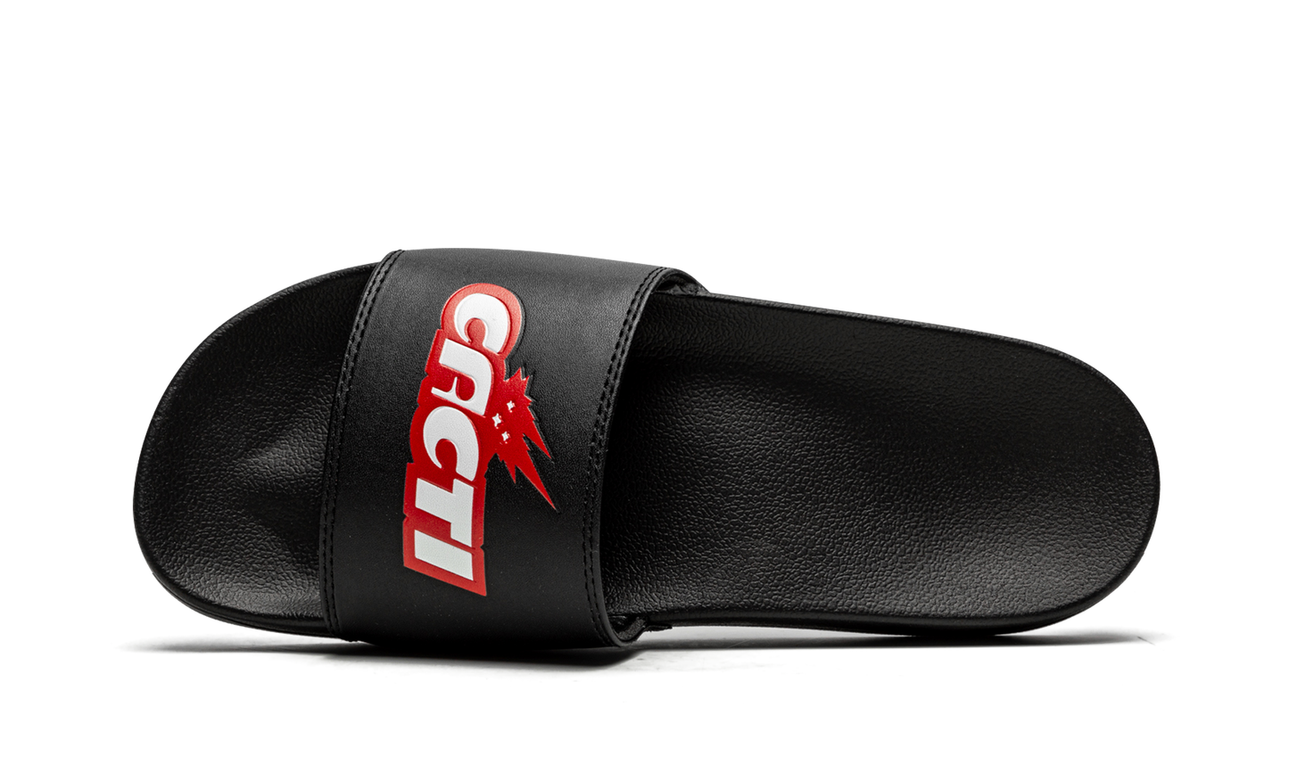 Cacti Slides "Cacti" CACT FS42