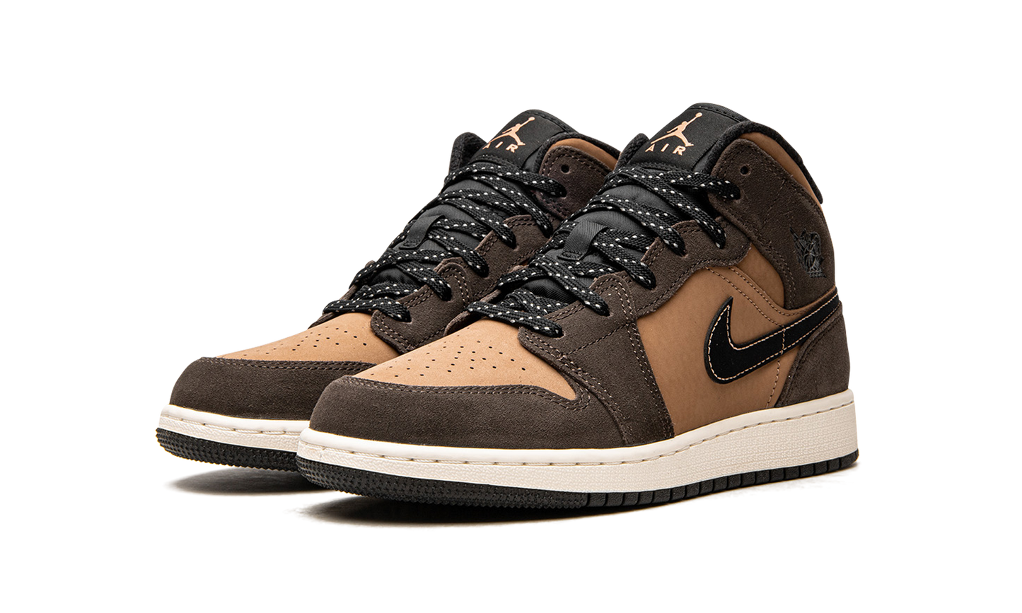 Air Jordan 1 Mid SE GS "Earth Tone" DC7248 200