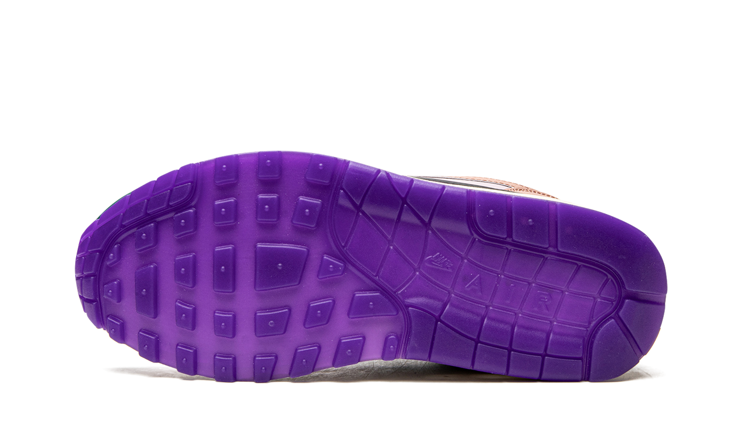 AIR MAX 1 () WMNS "Plum Fog Fossil Rose" DV2301 501