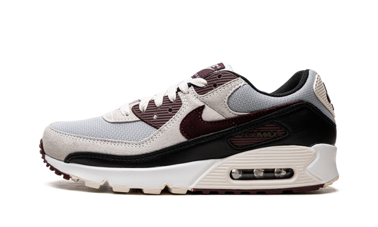 Air Max 90 "Burgundy Crush" DQ4071 004