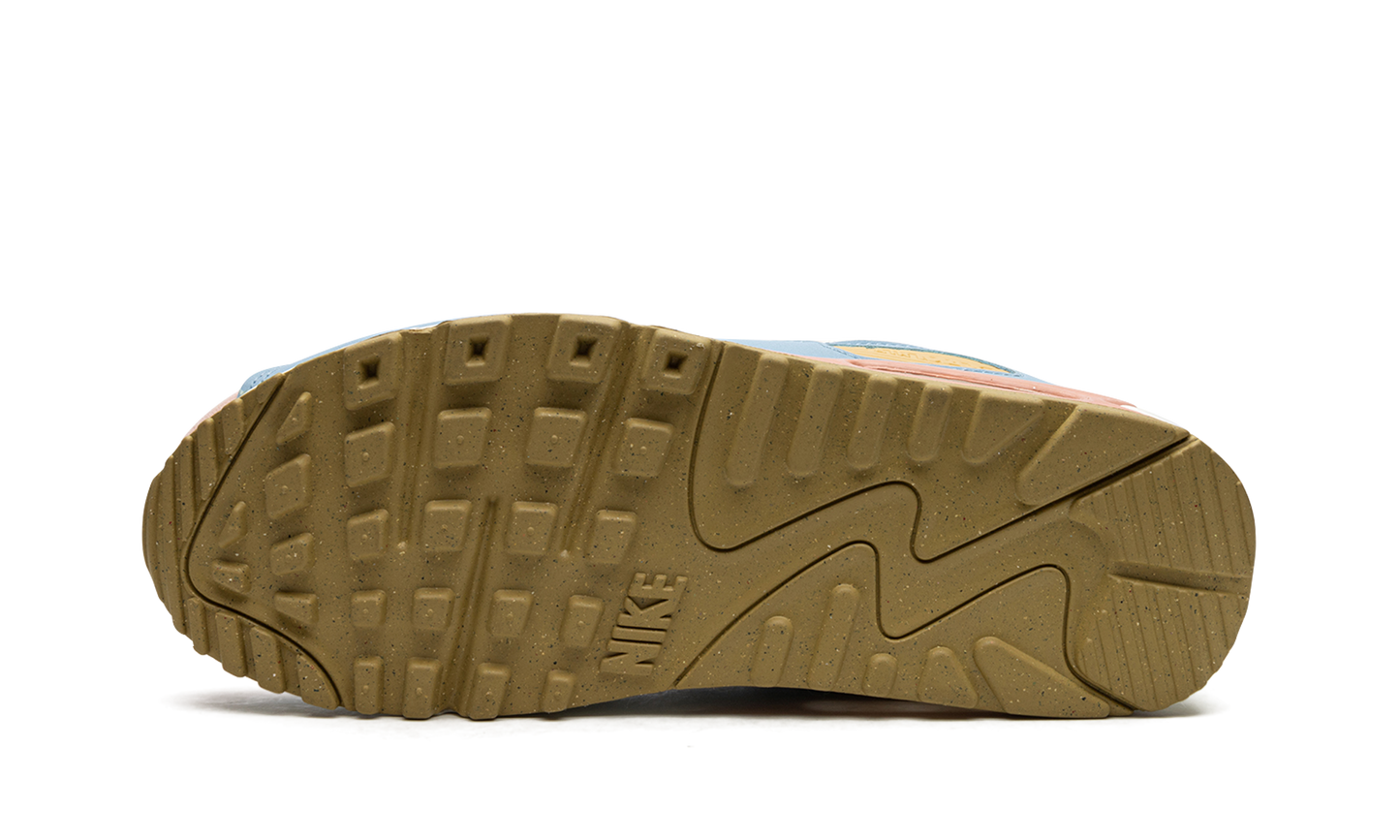 AIR MAX 90 SE WMNS "Sun Club" DJ9997 100