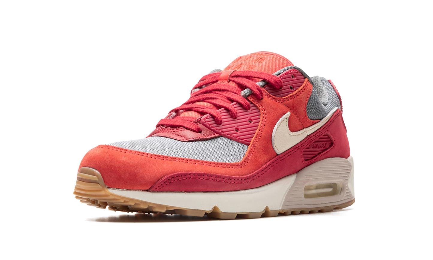 Air Max 90 PRM "Gym Red" DH4621 600
