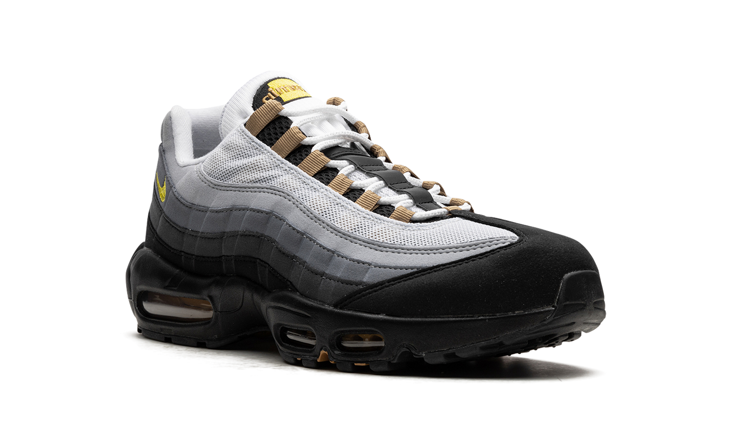 Air Max 95 "ICONS" DX4236 100