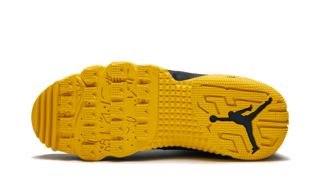 Air Jordan 9 Retro Boot PE "Michigan State University" MNJDLS266 817838