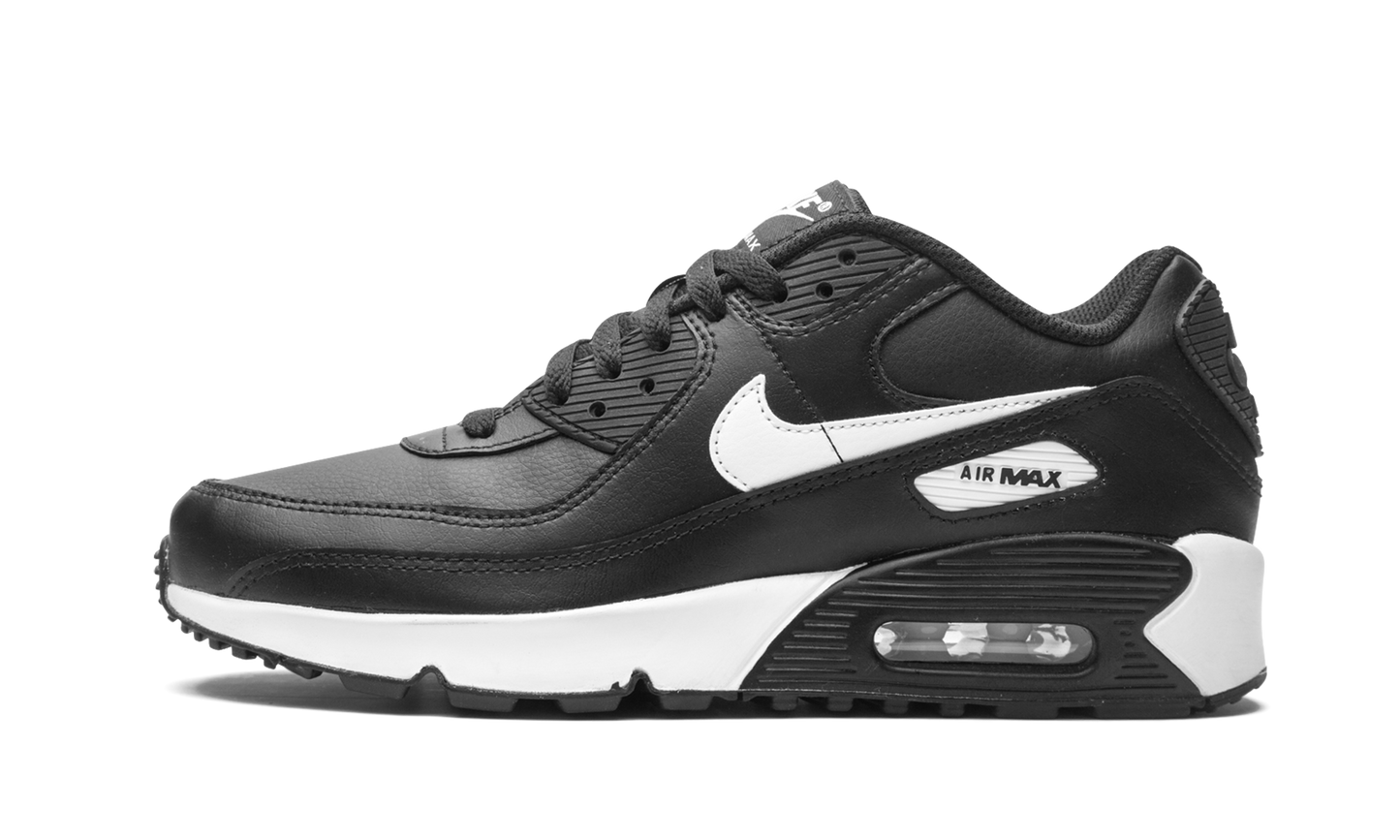 Air Max 90 LTR (GS) CD6864 010