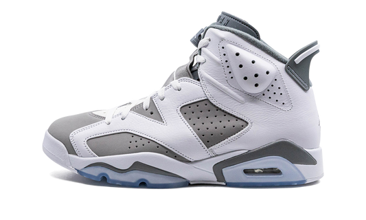Air Jordan 6 "Cool Grey" CT8529 100