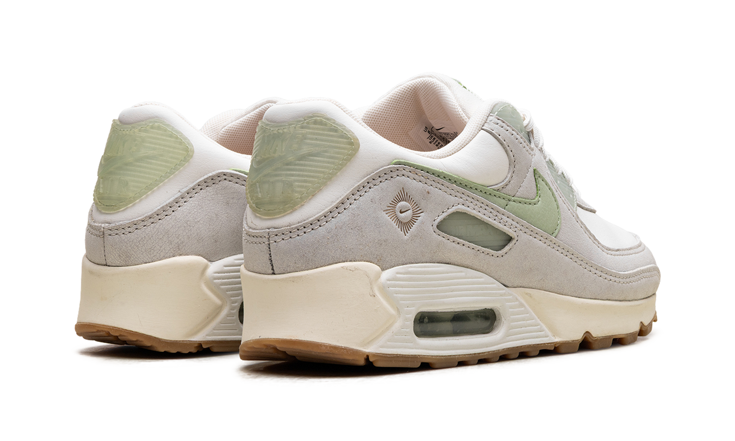 Air Max 90 SE WMNS "Australia" FN7490 133