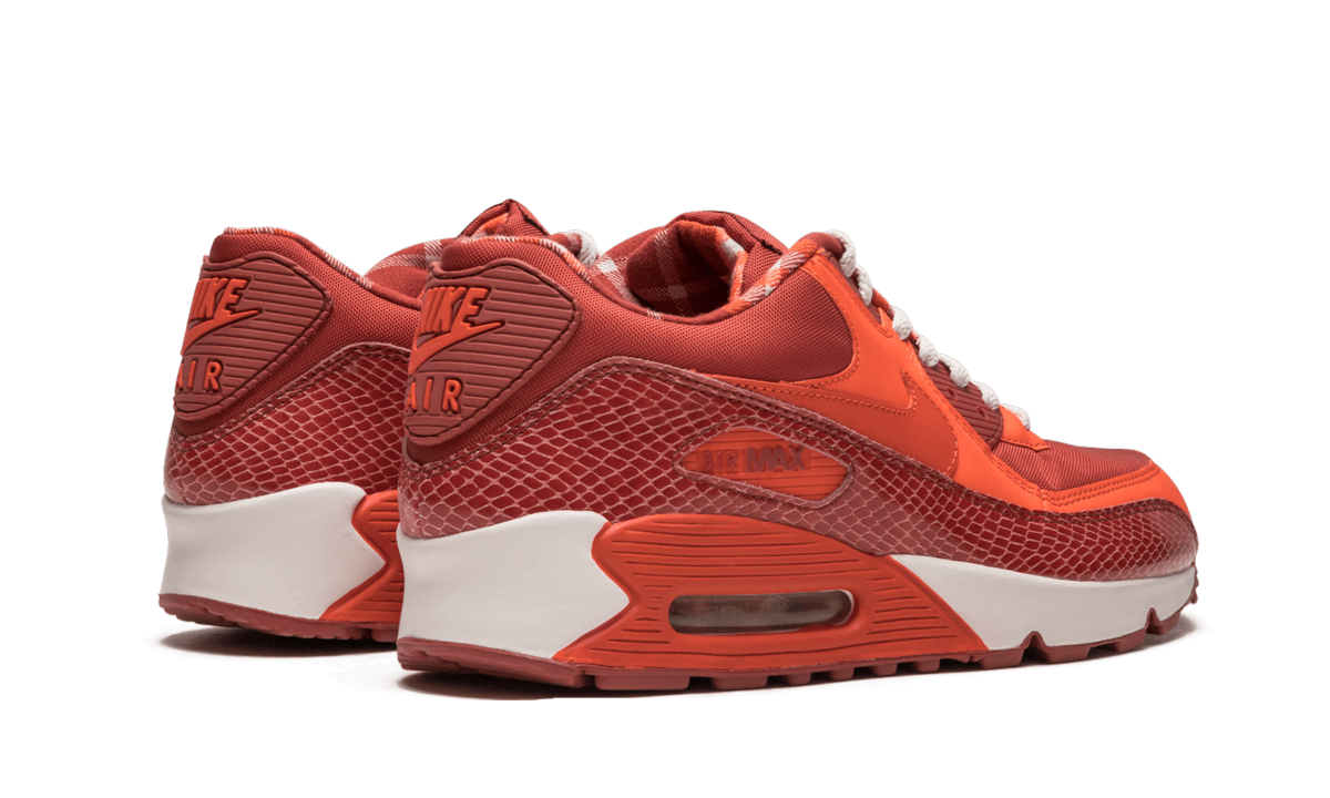 Air Max 90 QK "STEVE NASH" 314864 881