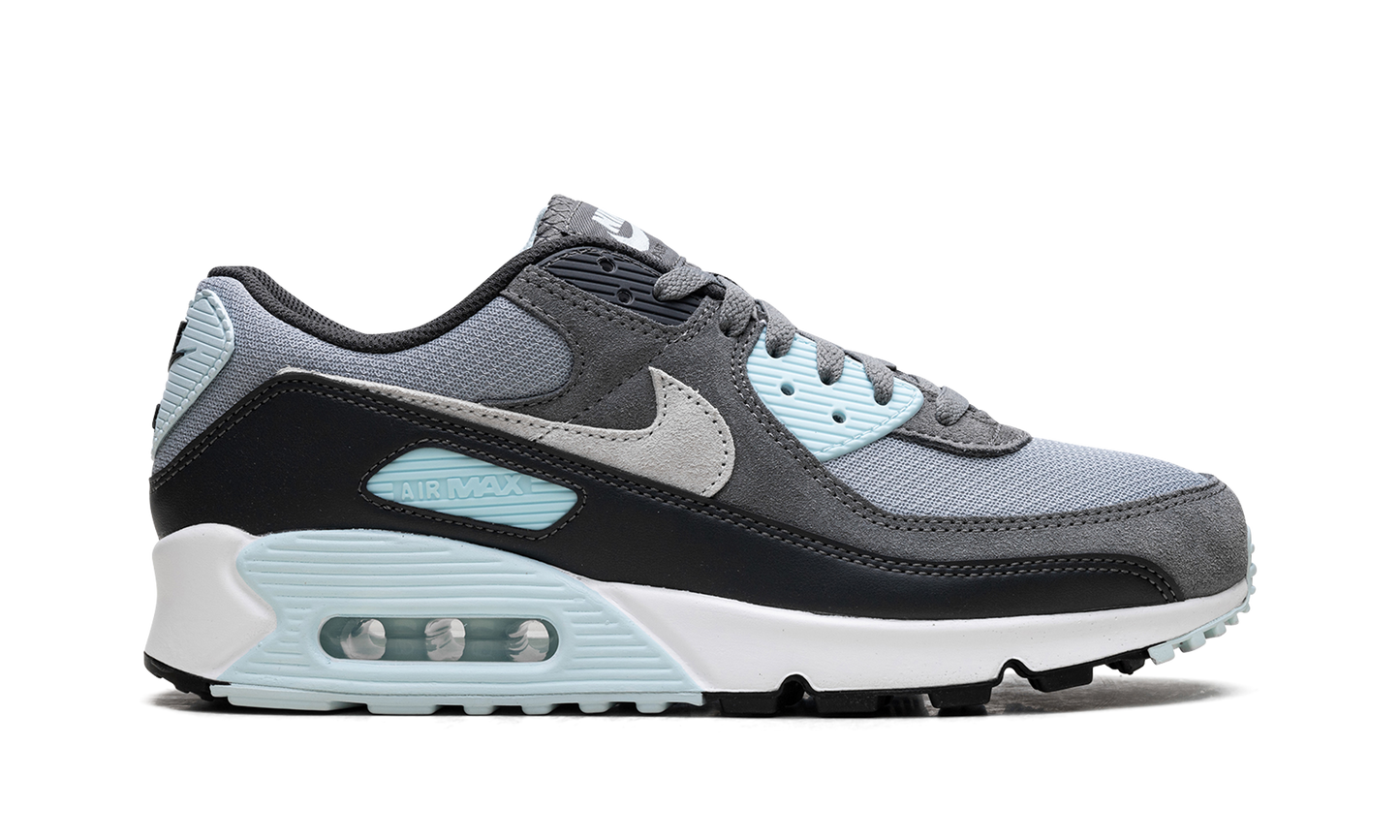 Air Max 90 "Pumice" DM0029 009