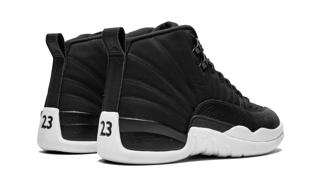 Air Jordan 12 Retro "PSNY FRIENDS AND FAMILY" 572646 849