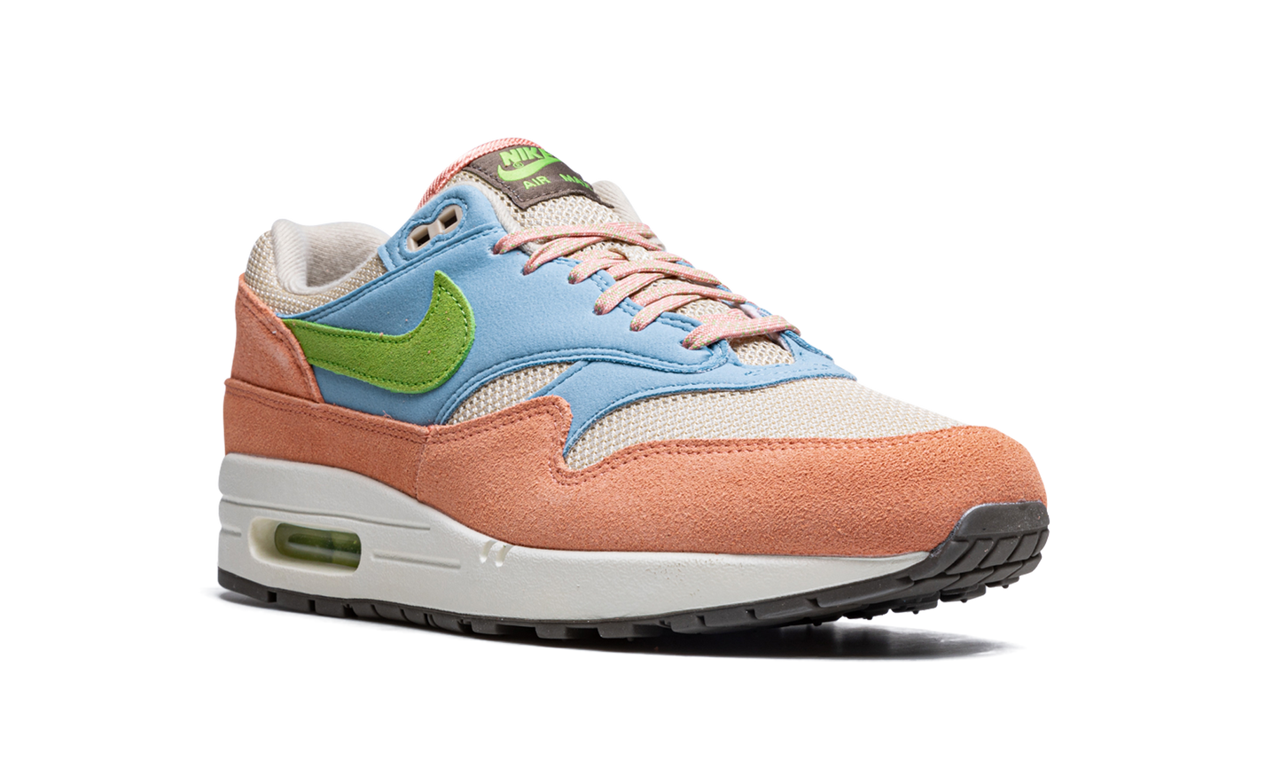 Air Max 1 "Light Madder Root" DV3196 800