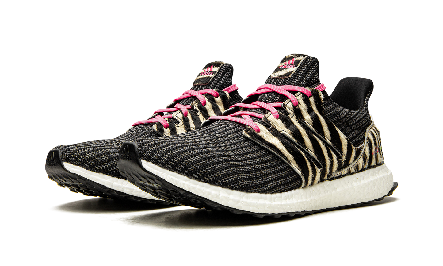 Ultraboost DNA "Animal Pack-Zebra" FZ2730