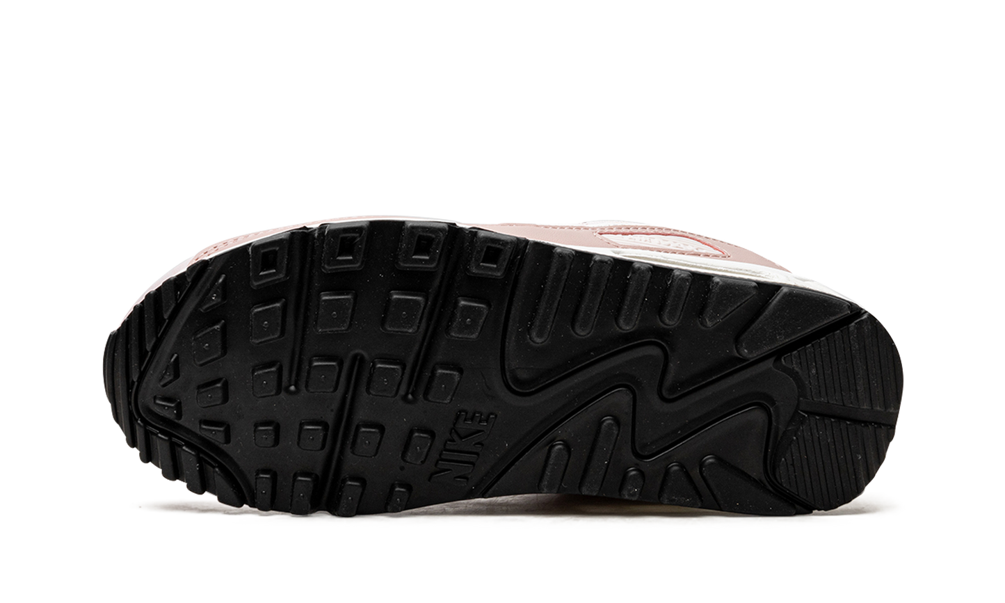 AIR MAX 90 MNS WMNS DH8010 600