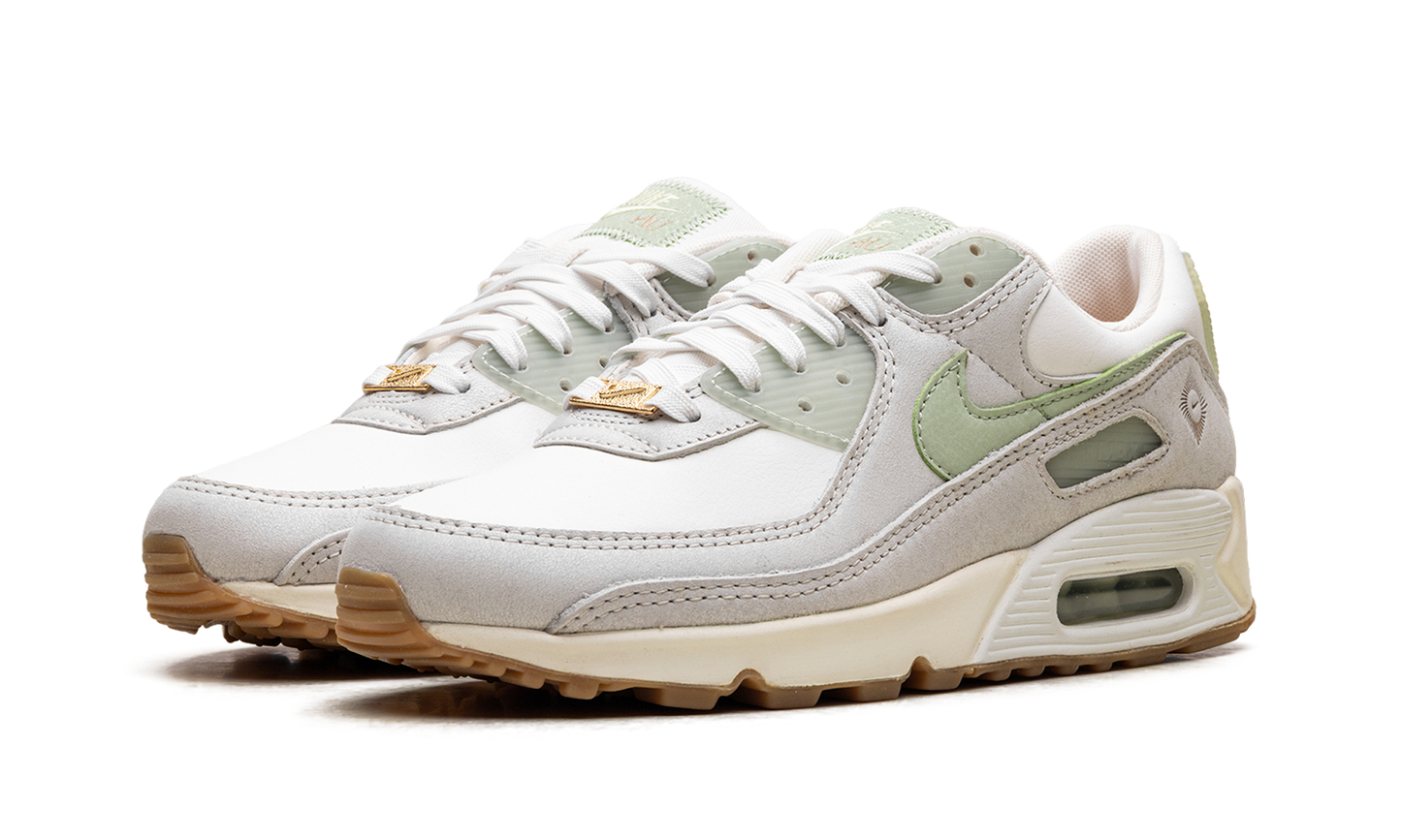 Air Max 90 SE WMNS "Australia" FN7490 133