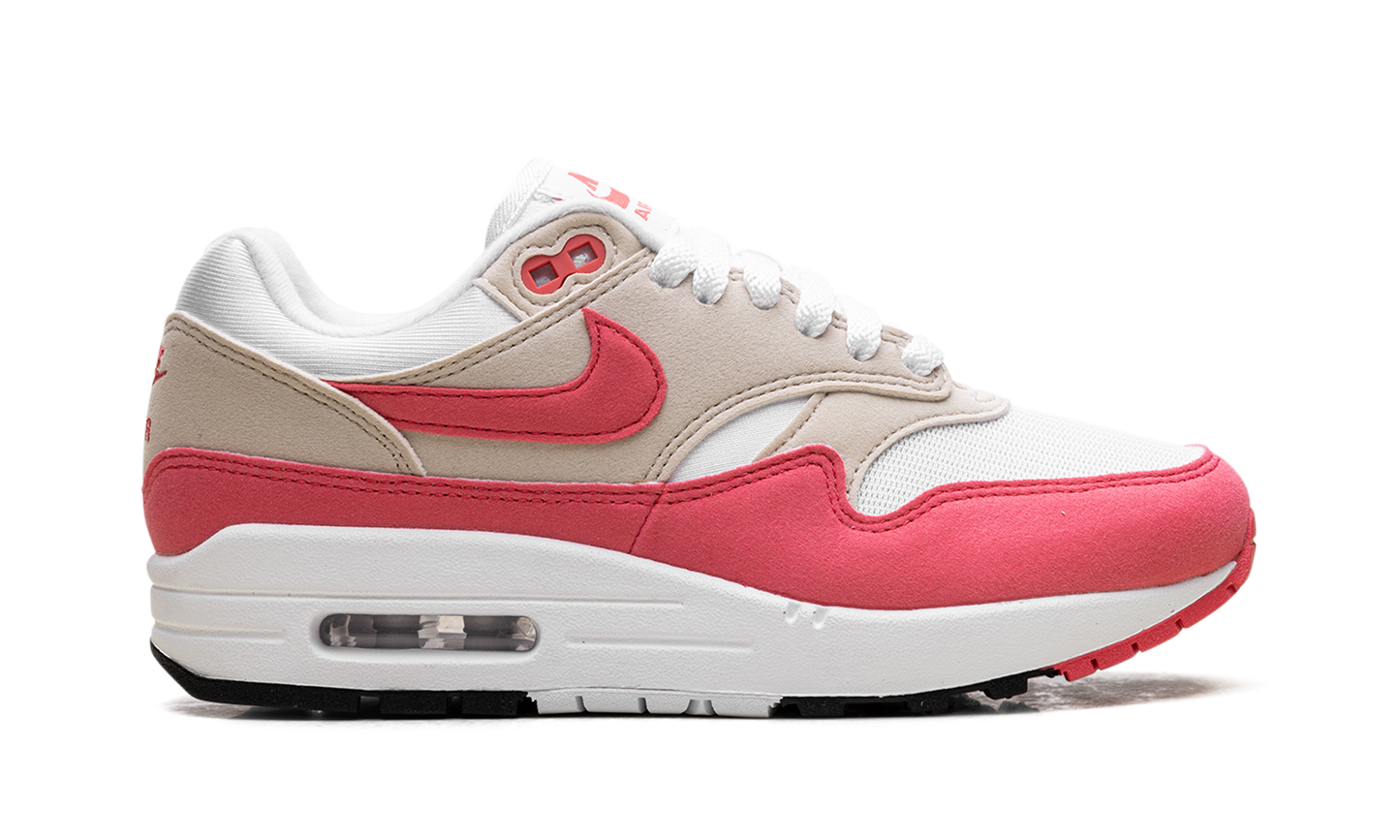 Air Max 1 WMNS "Aster Pink" DZ2628 110