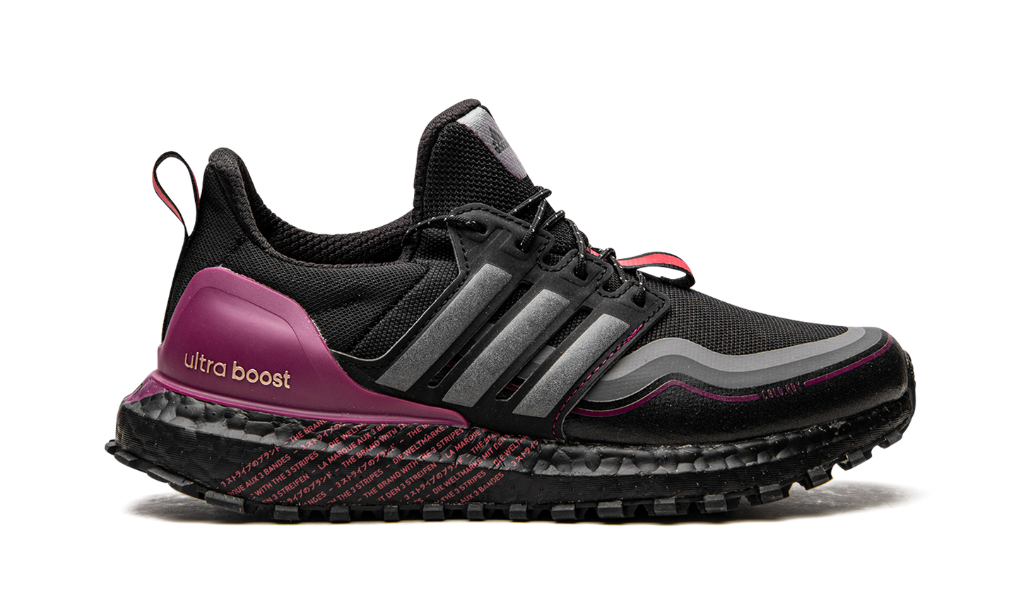 UltraBoost C.RDY DNA G54861