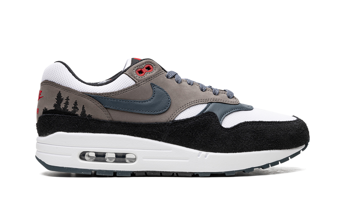 Air Max 1 "Slate Blue" FJ0698 100